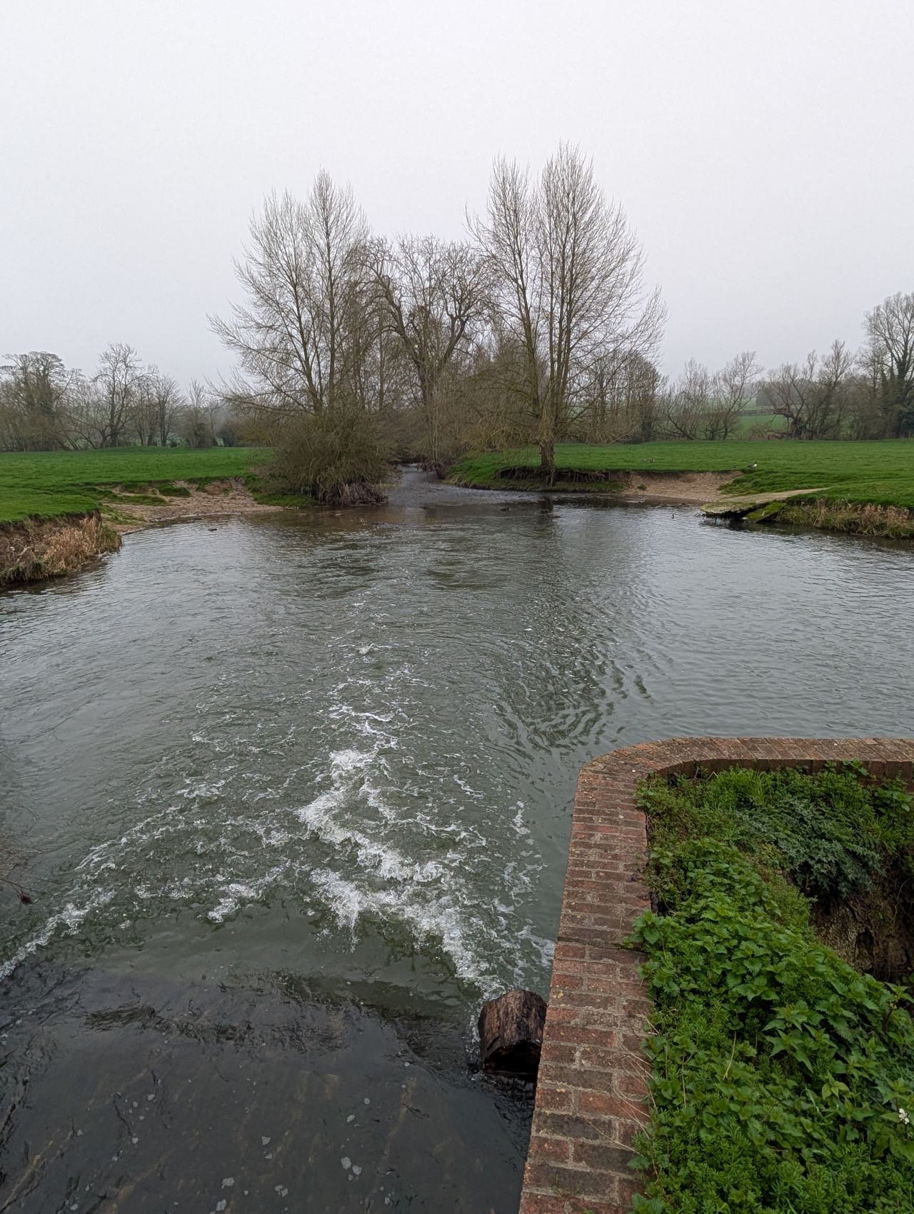 2026-03-08 24 Clare to Sudbury.jpg