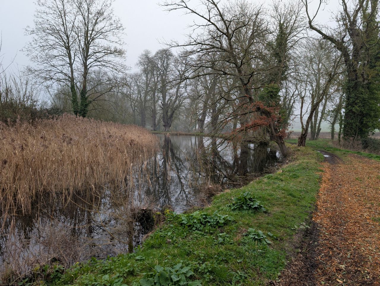 2026-03-09 32 Clare to Sudbury Belchamps.jpg