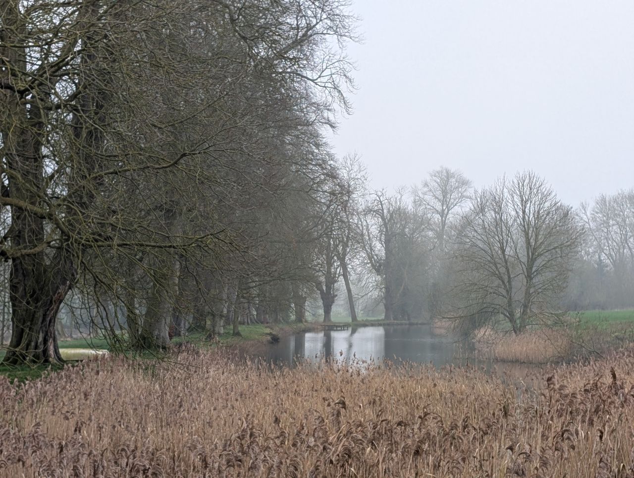 2026-03-09 37 Clare to Sudbury Belchamps.jpg