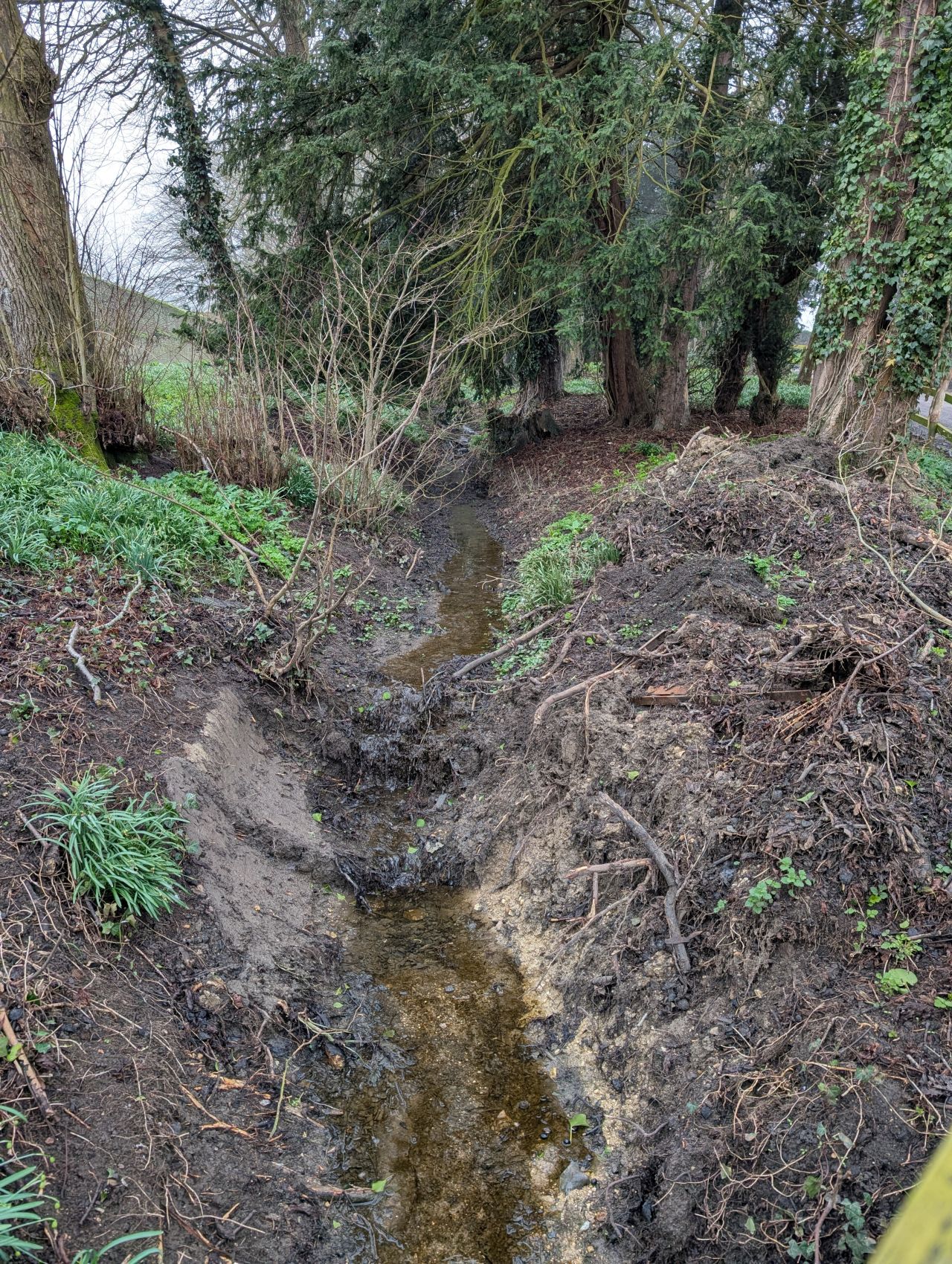 2026-03-09 40 Clare to Sudbury Belchamps.jpg