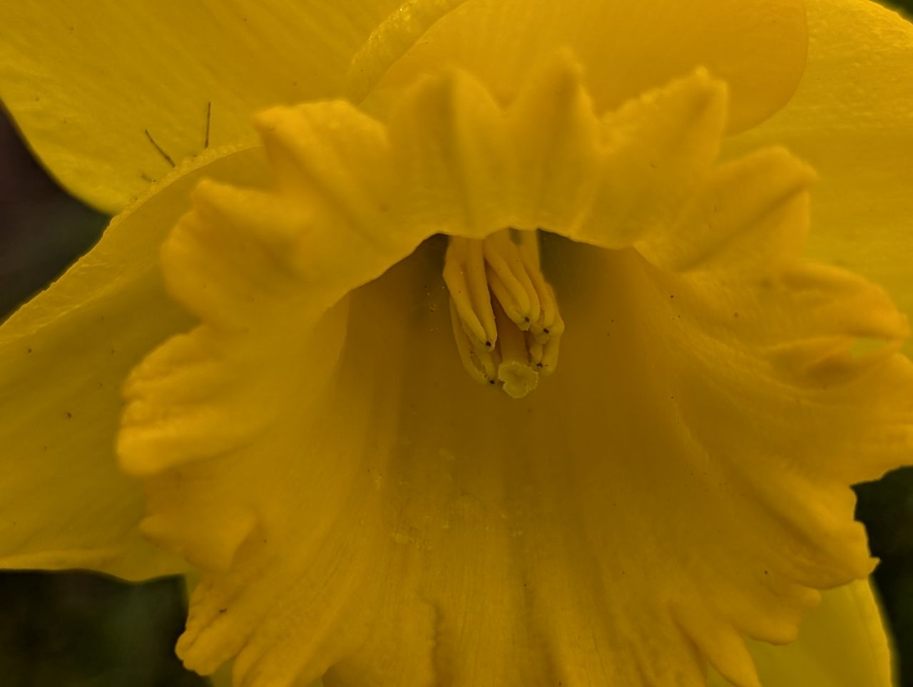 2026-03-09 41 Clare to Sudbury Belchamps.jpg