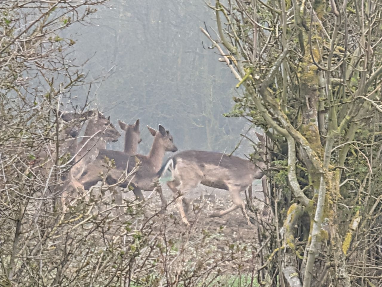 2026-03-09 48 Clare to Sudbury Belchamps.jpg