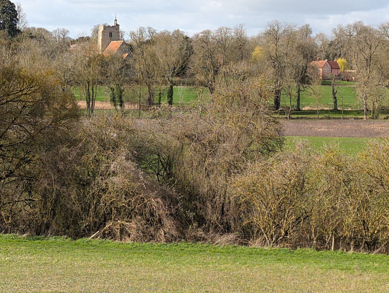 2026-03-11 08 Sudbury Belchamp Walter.jpg