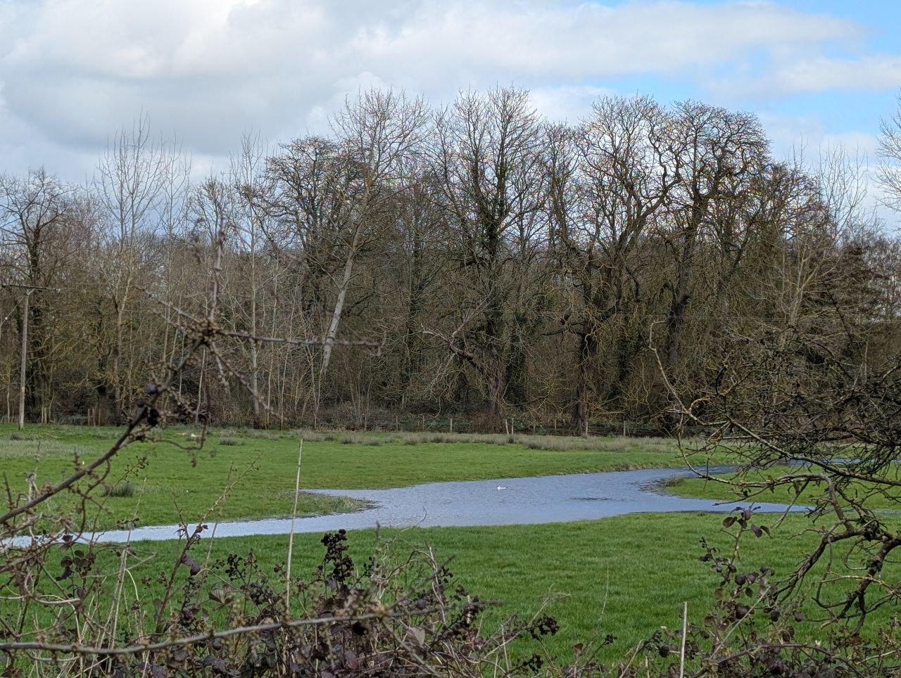 2026-03-11 15 Sudbury Belchamp Walter.jpg