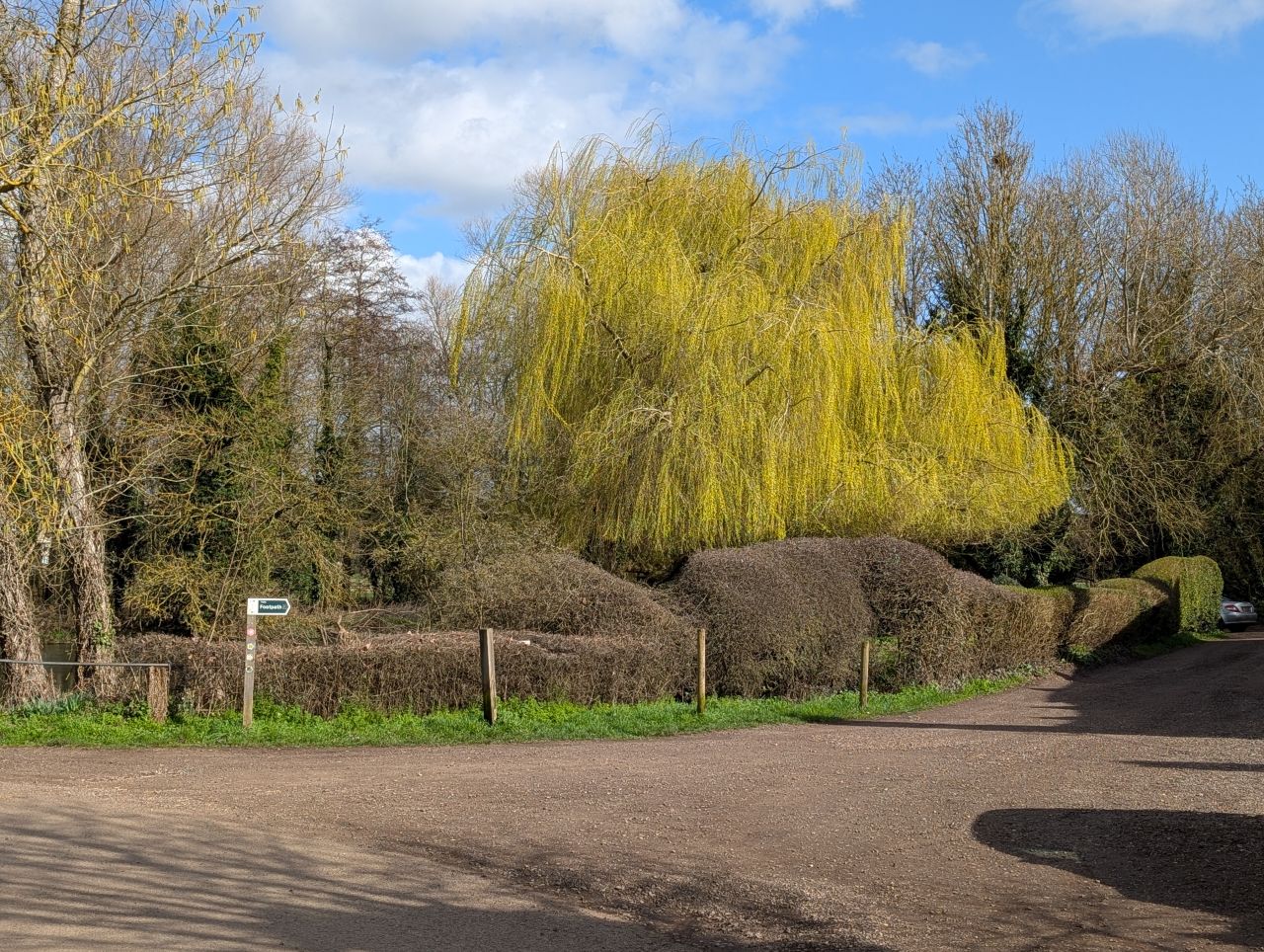 2026-03-11 16 Sudbury Belchamp Walter.jpg