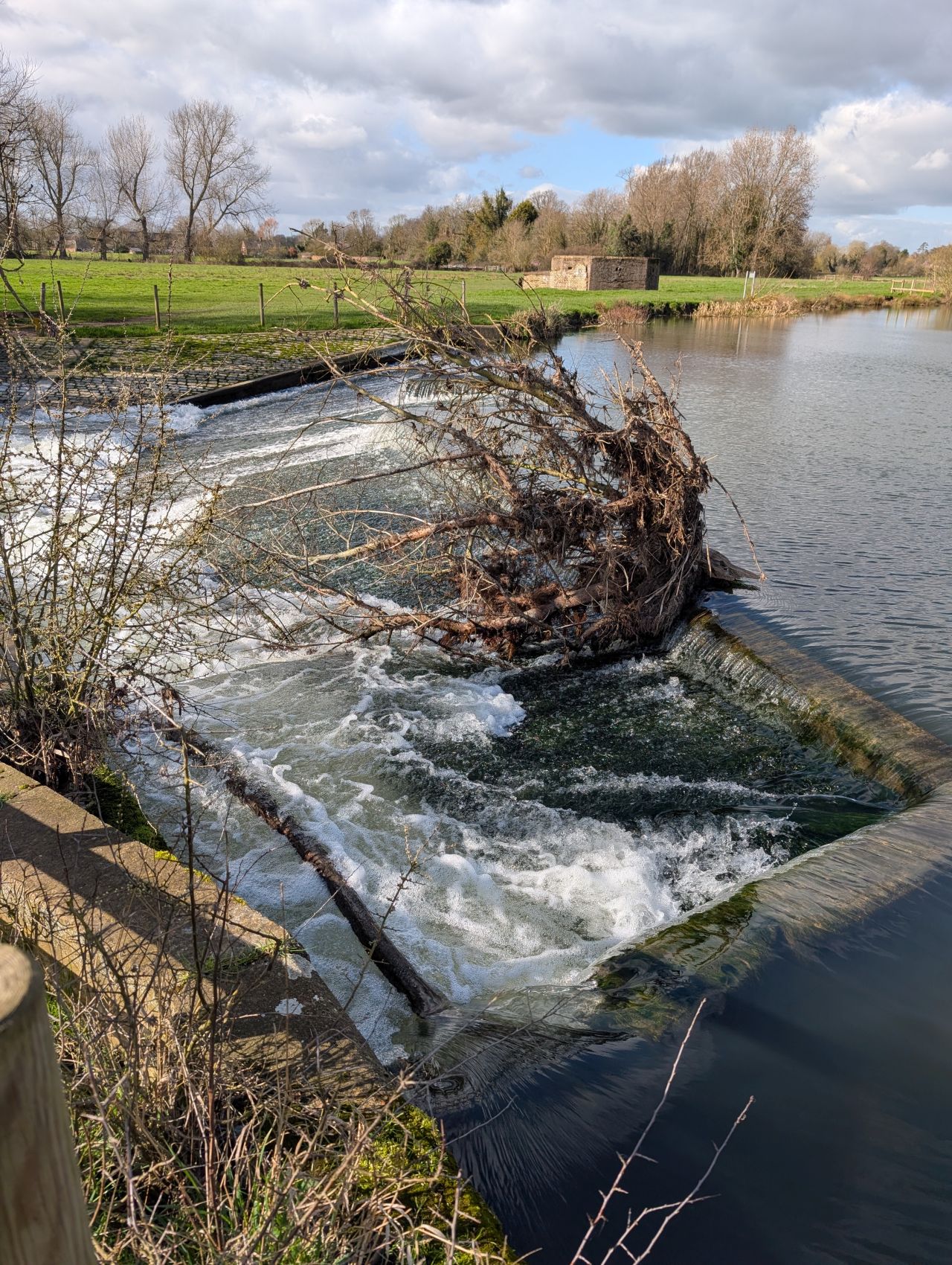 2026-03-11 23 Sudbury Belchamp Walter.jpg