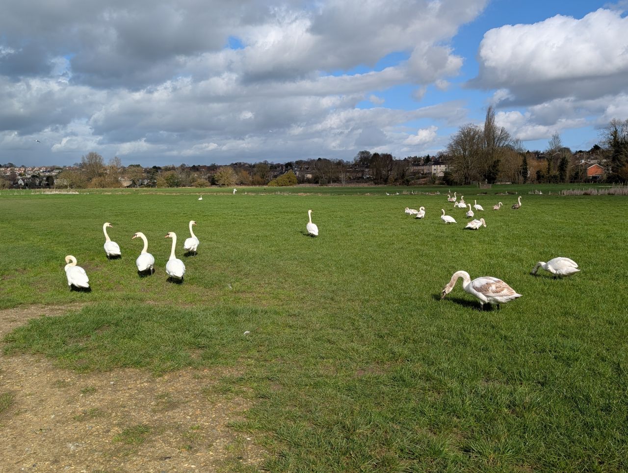 2026-03-11 25 Sudbury Belchamp Walter.jpg