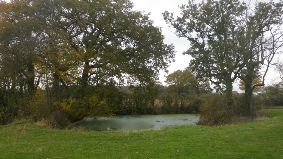 2019-11-17 08 Frostenden and Sotterley.jpg