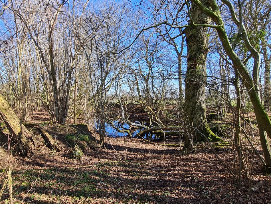 2022-02-27 06 Frostenden and Reydon.jpg