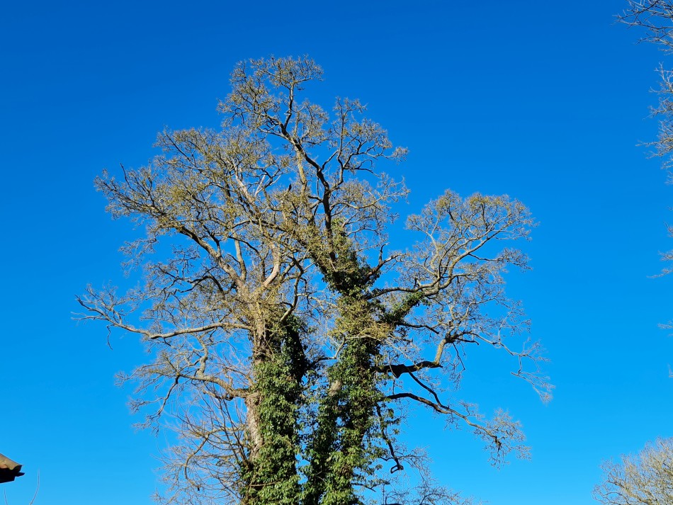 2022-02-27 07 Frostenden and Reydon.jpg