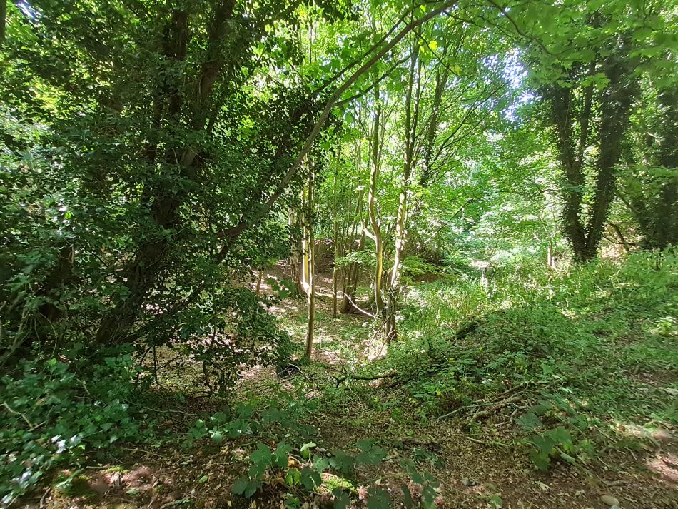 2022-07-24 04 Frostenden and Wangford.jpg