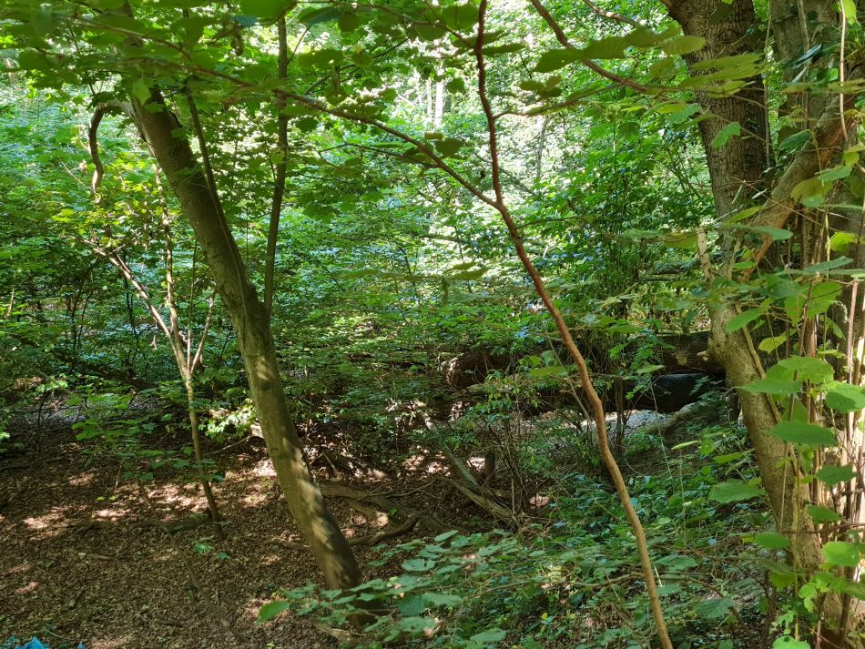 2022-07-24 05 Frostenden and Wangford.jpg