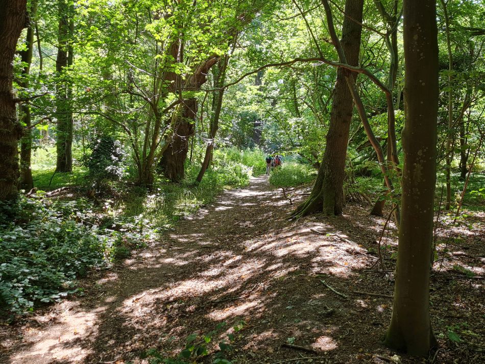 2022-07-24 06 Frostenden and Wangford.jpg