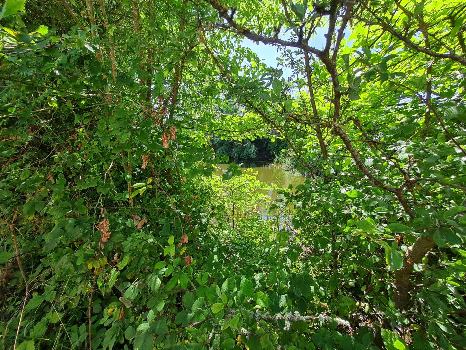 2022-07-24 10 Frostenden and Wangford.jpg