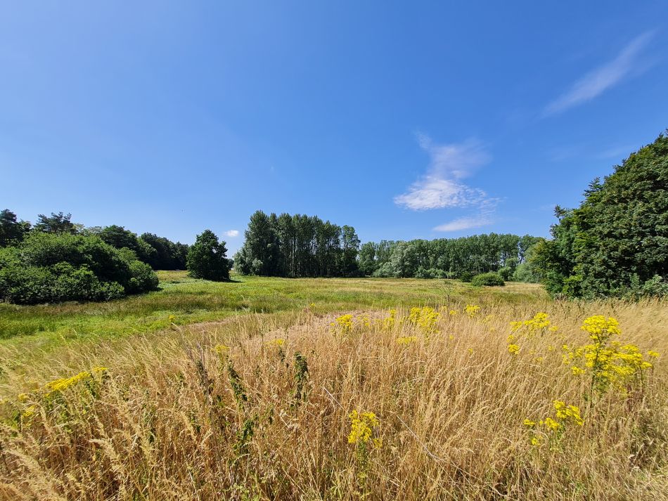 2022-07-24 11 Frostenden and Wangford.jpg