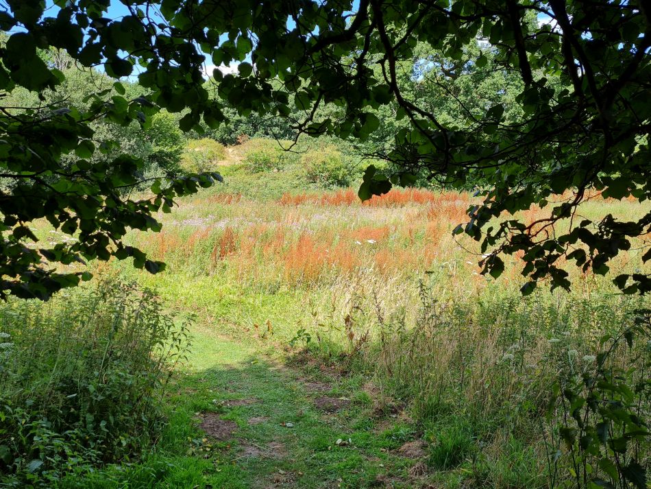 2022-07-24 12 Frostenden and Wangford.jpg