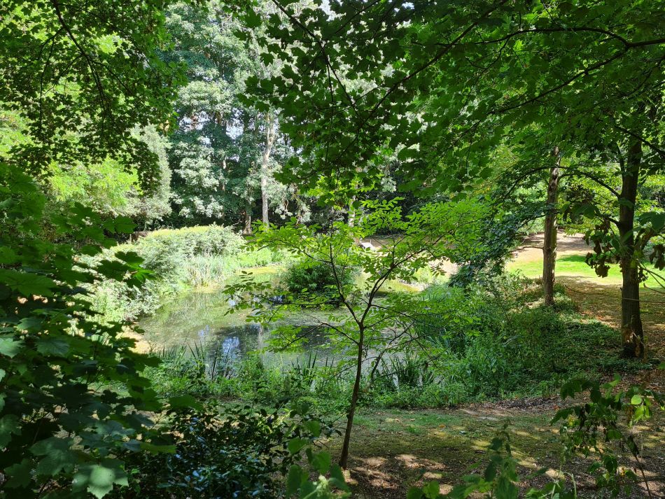 2022-07-24 13 Frostenden and Wangford.jpg