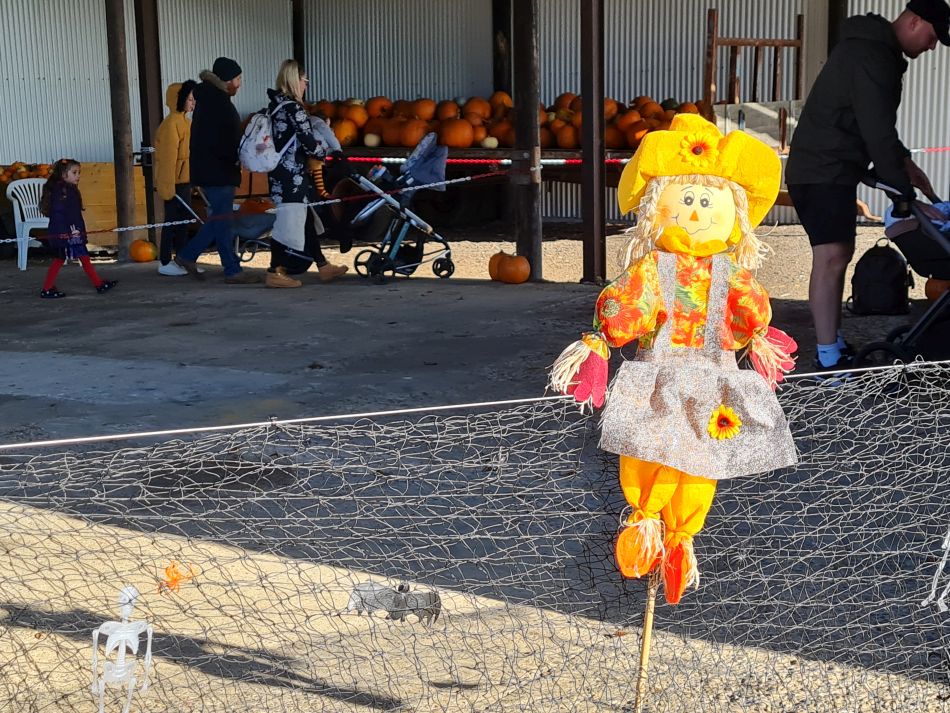 2023-10-15 07 Frostenden and Uggeshall.jpg