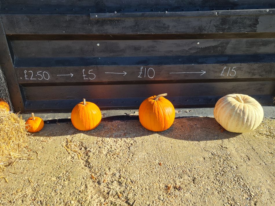 2023-10-15 08 Frostenden and Uggeshall.jpg