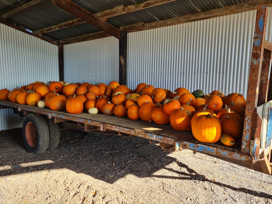 2023-10-15 09 Frostenden and Uggeshall.jpg