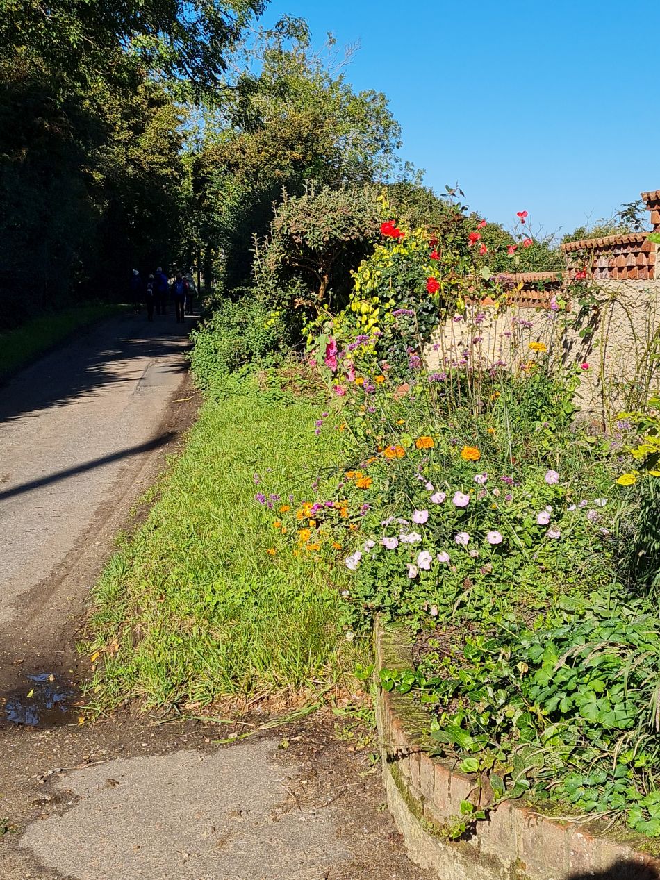 2023-10-15 10 Frostenden and Uggeshall.jpg