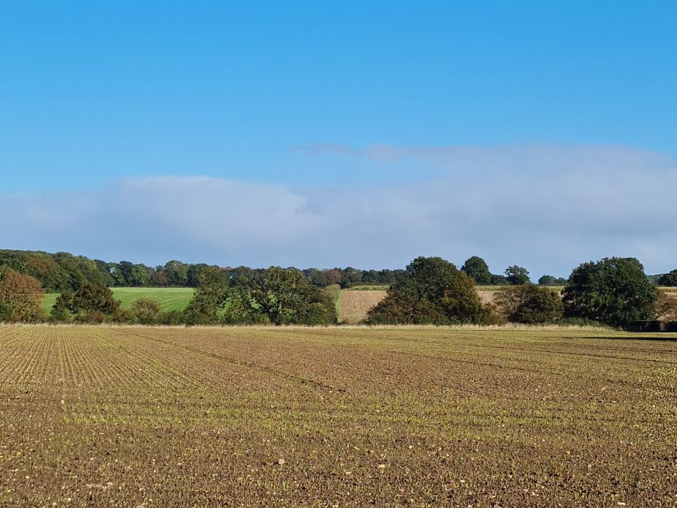 2023-10-15 12 Frostenden and Uggeshall.jpg