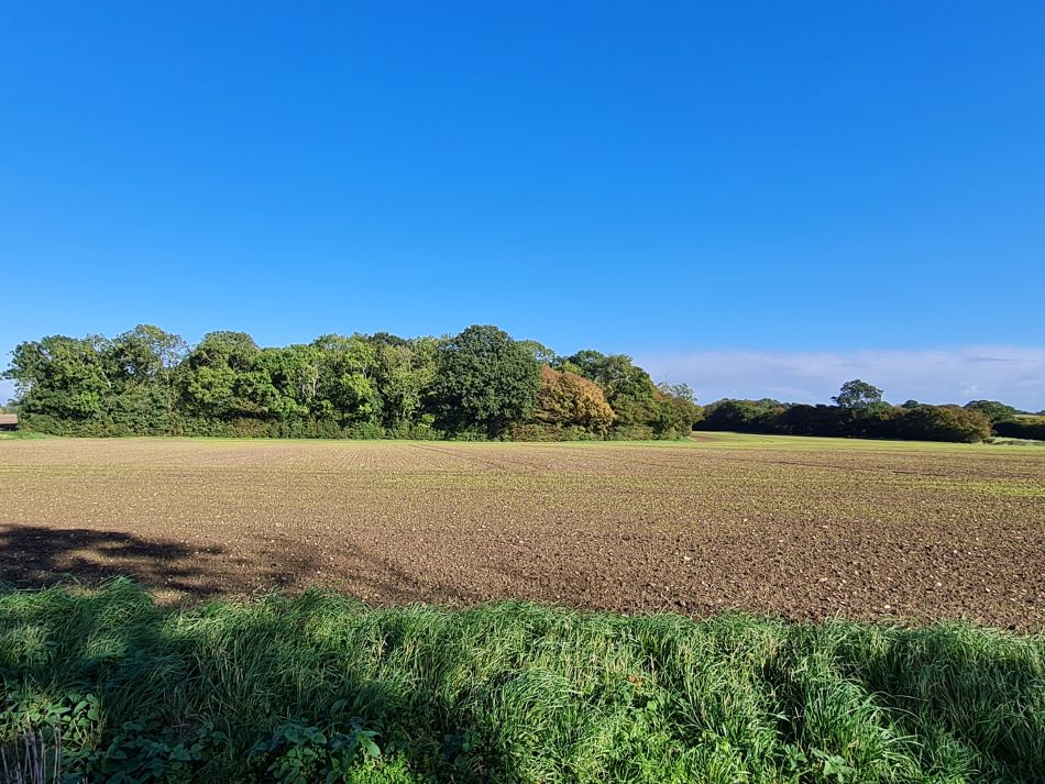 2023-10-15 13 Frostenden and Uggeshall.jpg