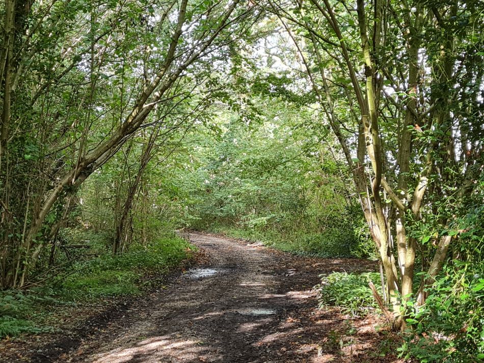 2023-10-15 14 Frostenden and Uggeshall.jpg