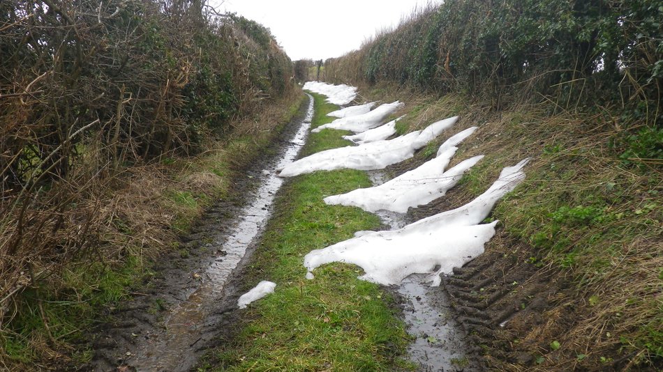 2018-03-09 02 Aldeby.jpg