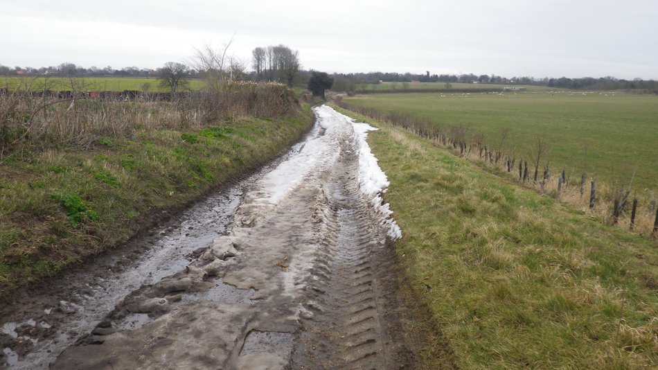 2018-03-09 03 Aldeby.jpg