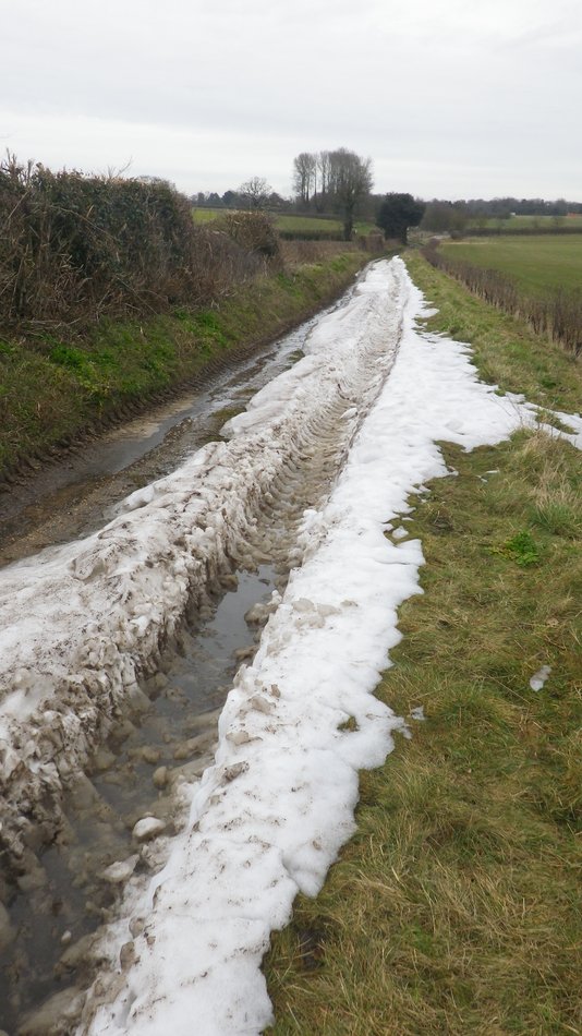 2018-03-09 04 Aldeby.jpg