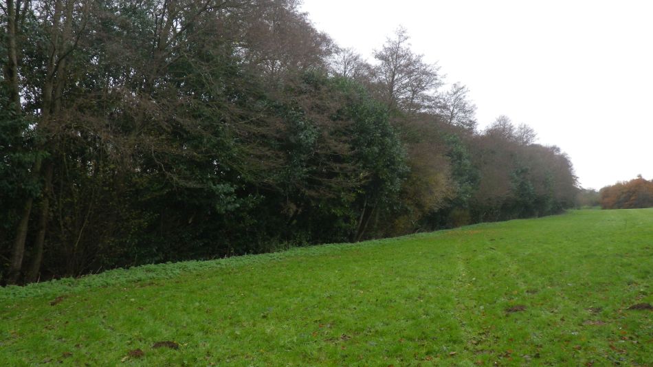 2017-11-30 07 Alde Valley Group at Pettistree.jpg