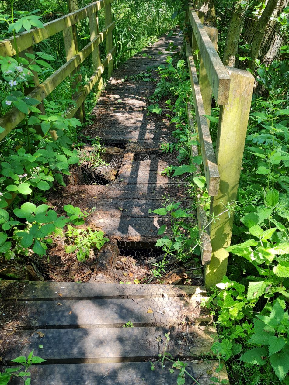 2023-06-25 04 Blundeston.jpg