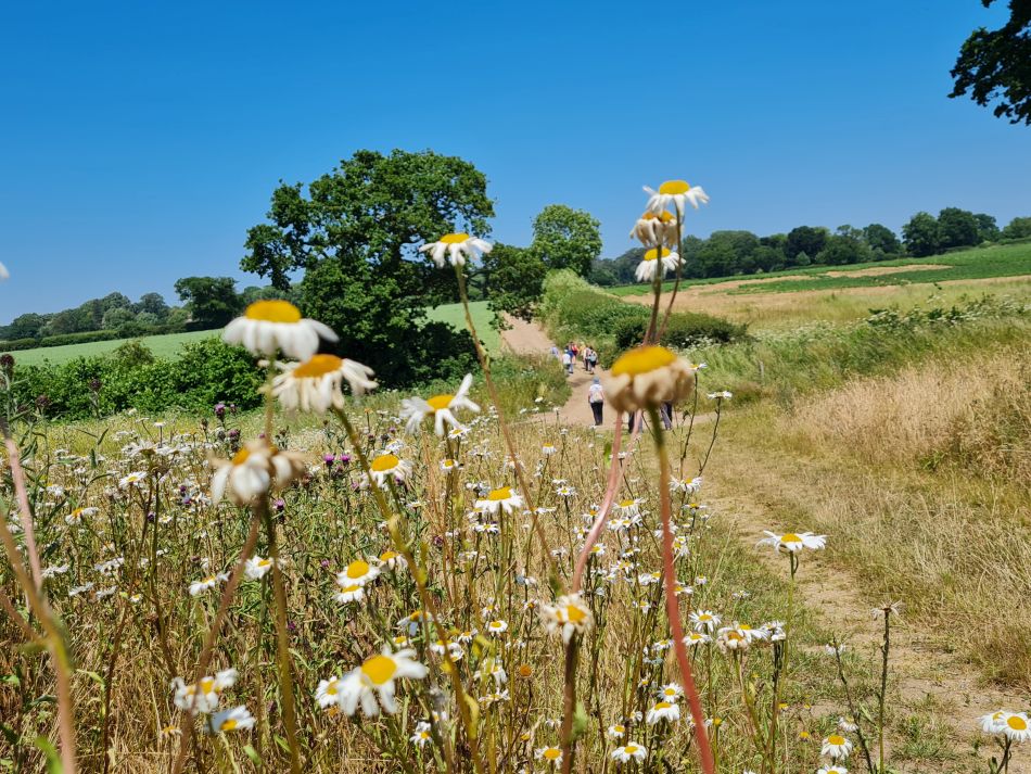 2023-06-25 07 Blundeston.jpg