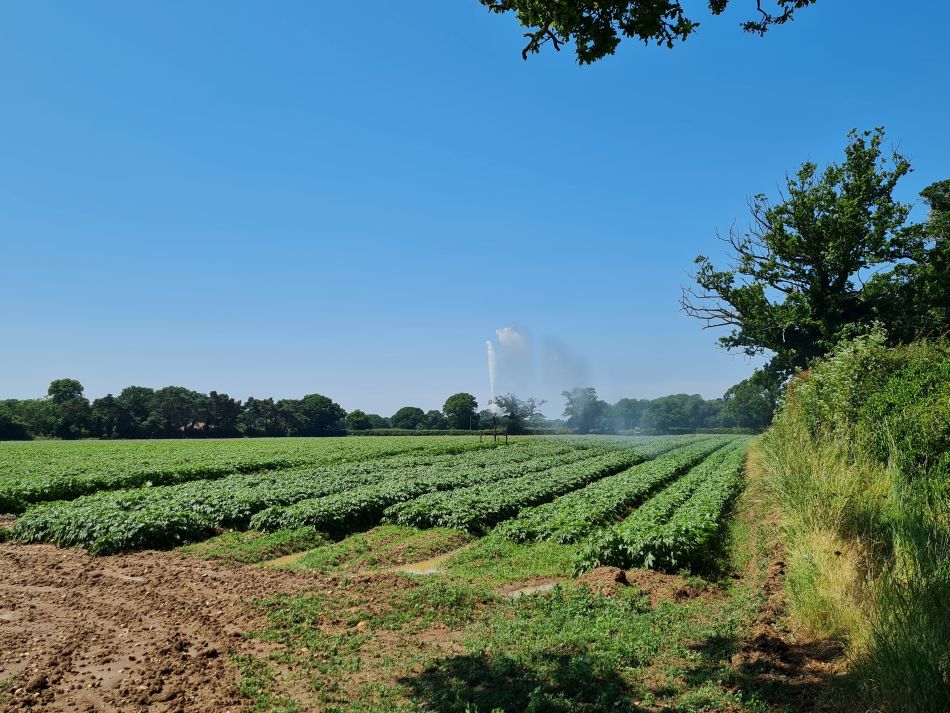 2023-06-25 08 Blundeston.jpg