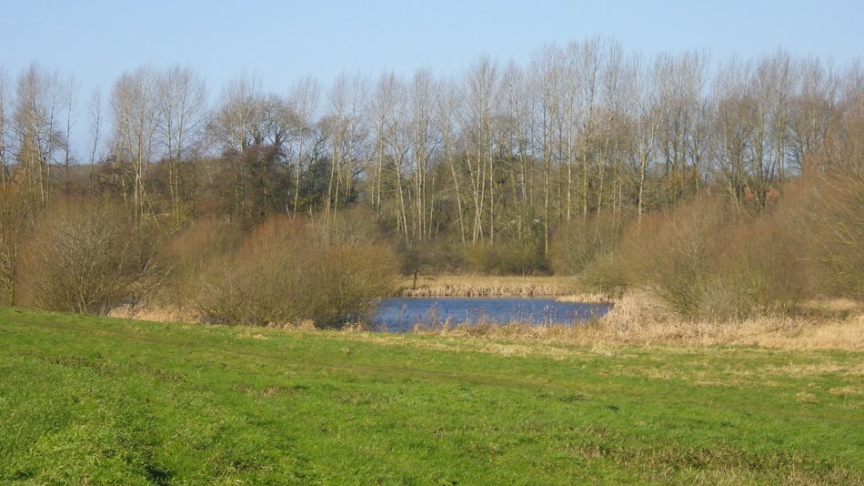 2018-02-28 02 Seething.jpg