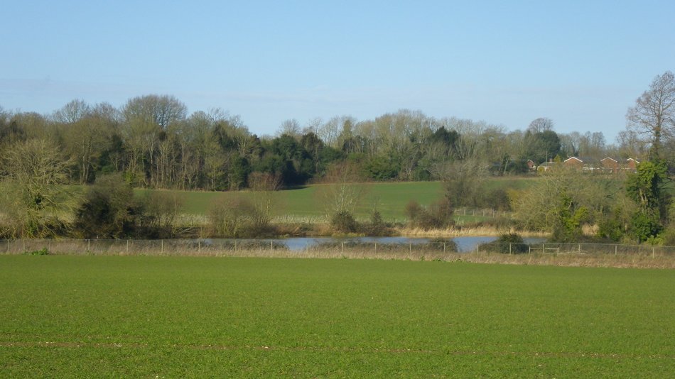 2018-02-28 04 Seething.jpg