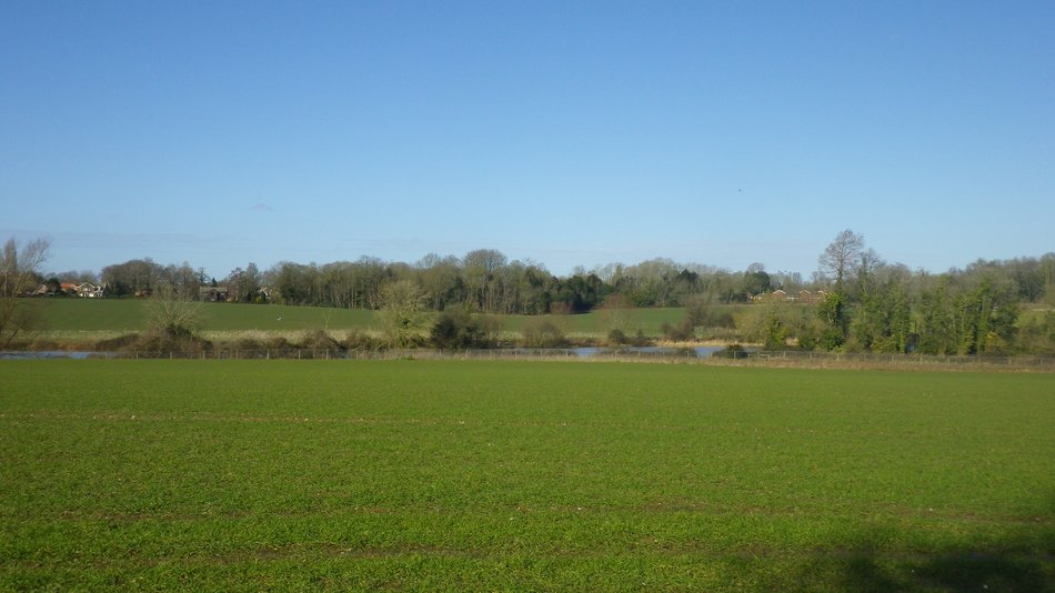 2018-02-28 05 Seething.jpg