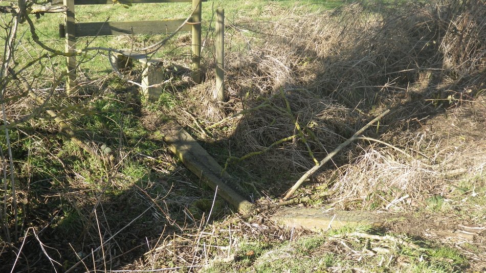 2018-02-28 07 Seething.jpg