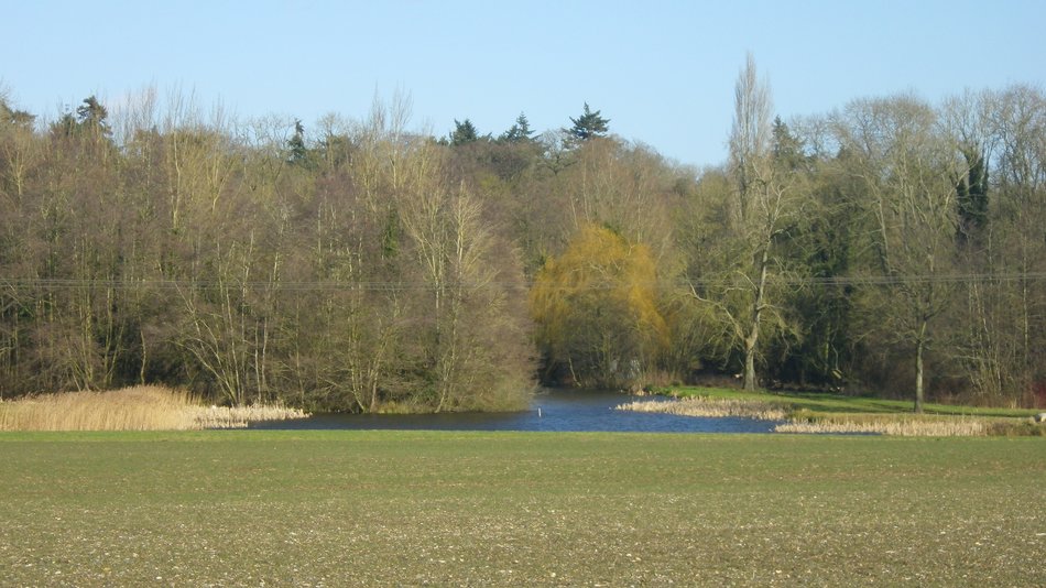 2018-02-28 08 Seething.jpg