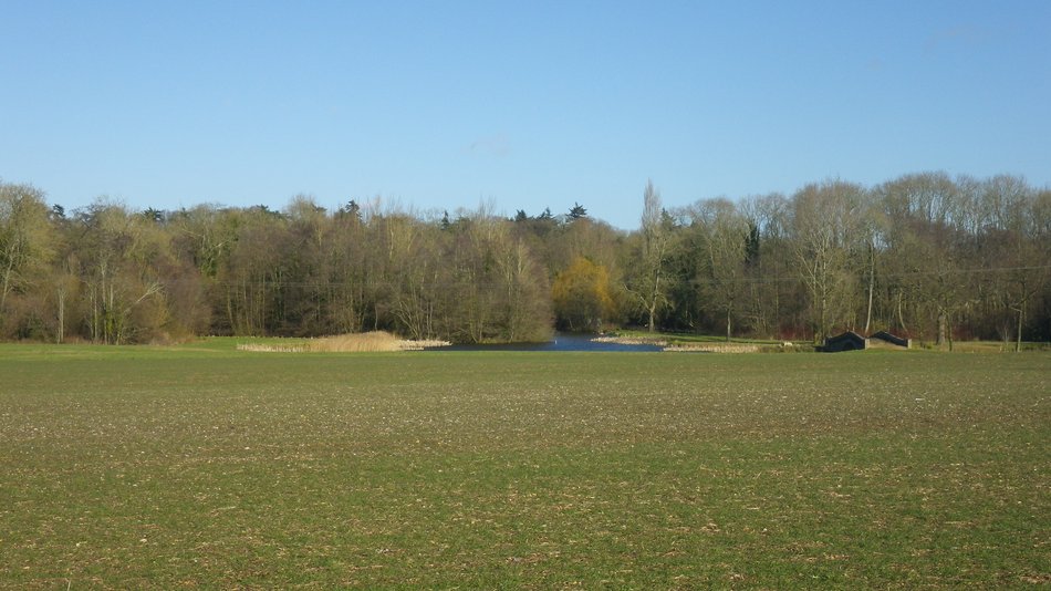 2018-02-28 09 Seething.jpg