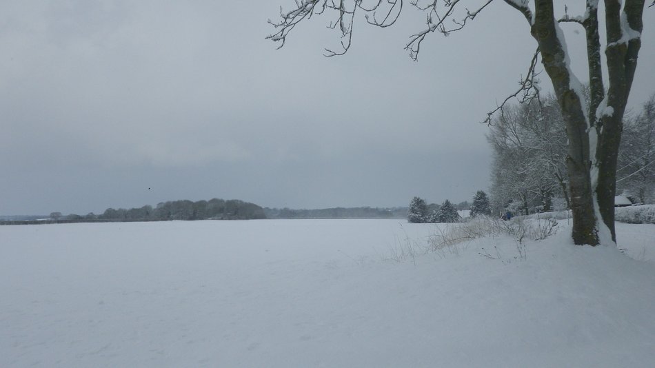 2018-02-28 20 Seething.jpg