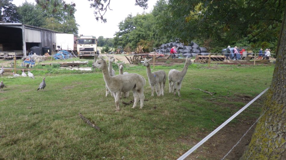 2018-09-12 02 Seething.jpg