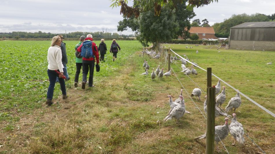 2018-09-12 03 Seething.jpg