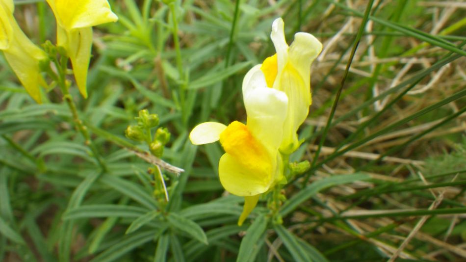 2016-09-25 23 Loddon to Beccles.jpg