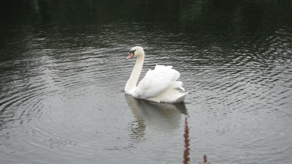 2016-09-25 24 Loddon to Beccles.jpg