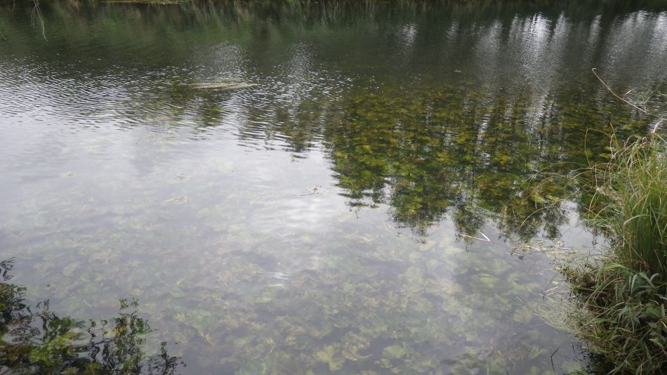 2016-09-25 27 Loddon to Beccles.jpg