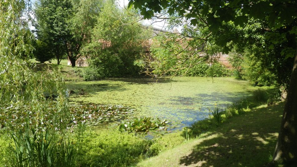 2017-06-04 15 Loddon to Beccles.jpg