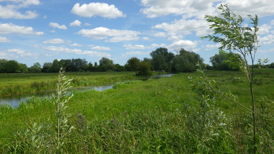 2017-06-04 21 Loddon to Beccles.jpg