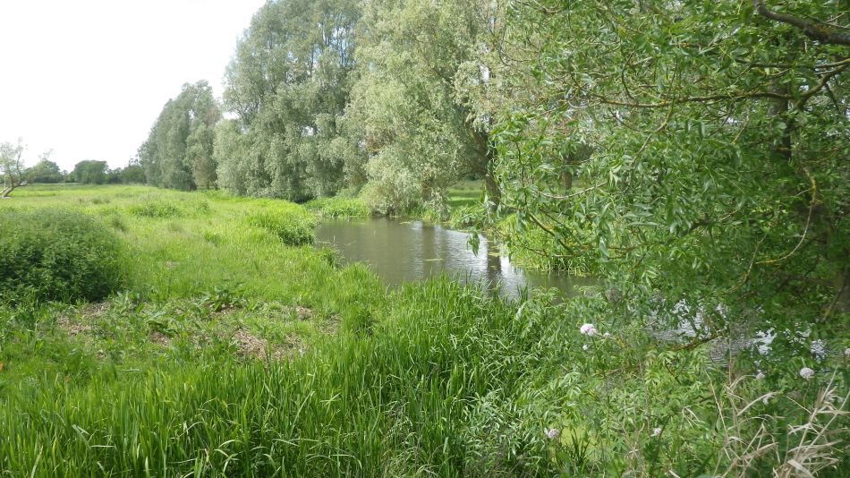 2017-06-04 22 Loddon to Beccles.jpg